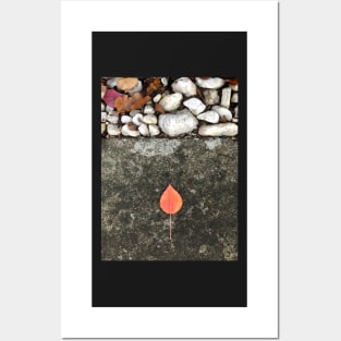 Autumn Leaf with stones Posters and Art